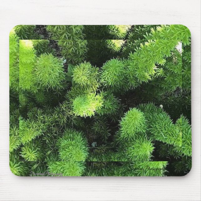 Mousepad Pad do mouse Fern verde (Frente)