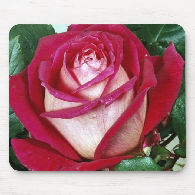 Mousepad Pad do mouse Flor (Frente)