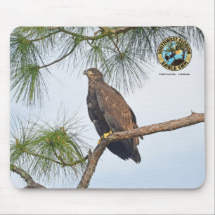 Mousepad Pad do Mouse Geleia SWFL - E23