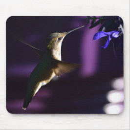 Mousepad Pad do mouse Hummingbird