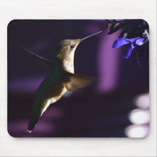 Mousepad Pad do mouse Hummingbird
