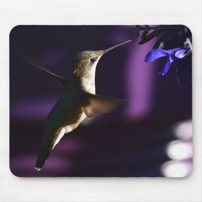 Mousepad Pad do mouse Hummingbird (Frente)