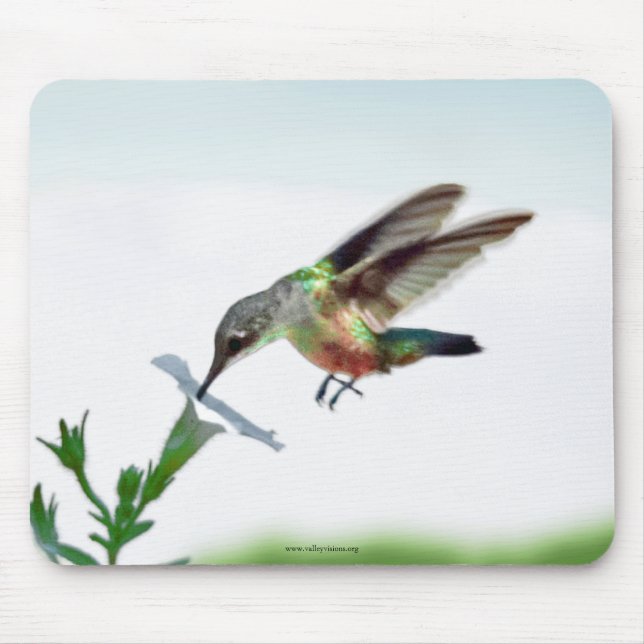 Mousepad Pad do mouse Hummingbird (Frente)