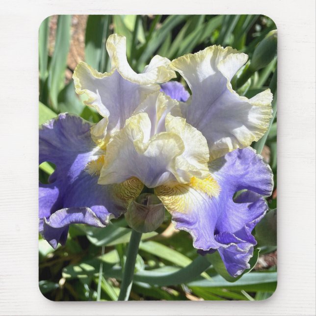 Mousepad Pad do mouse Iris Gilded (Frente)