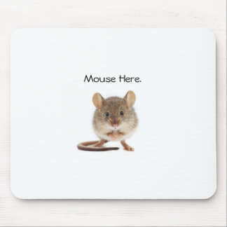 Mousepad Pad do mouse legal