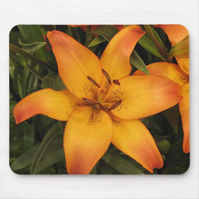 Mousepad Pad do mouse Lily Laranja (Frente)