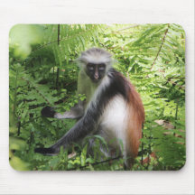 Pad do mouse macaco
