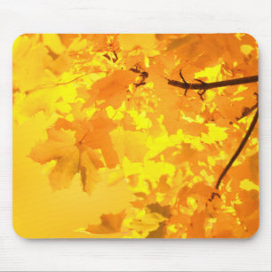 Mousepad Pad do mouse Mapeamento Amarelo