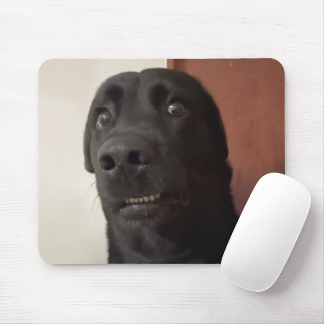 Mousepad Pad do Mouse Medo Cachorro (Com mouse)