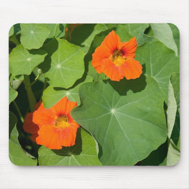 Mousepad Pad do mouse Nasturtium laranja (Frente)
