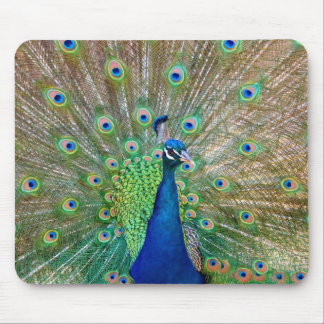 Mousepad Pad do mouse Peacock
