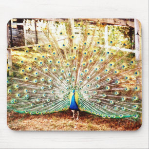 Mousepad Pad do mouse Peacock