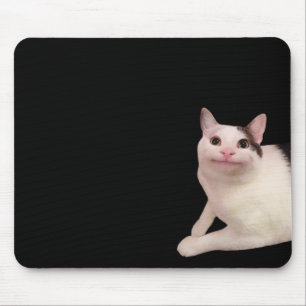 Mousepad Pad do Mouse Polite para Memória de Gato