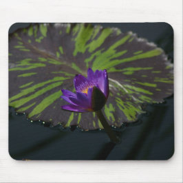 Mousepad Pad do Mouse Waterlily Roxo