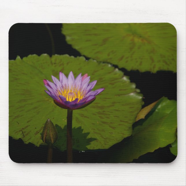 Mousepad Pad do Mouse Waterlily Roxo (Frente)