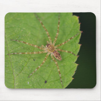 Mousepad Pad do Rato de Aranha