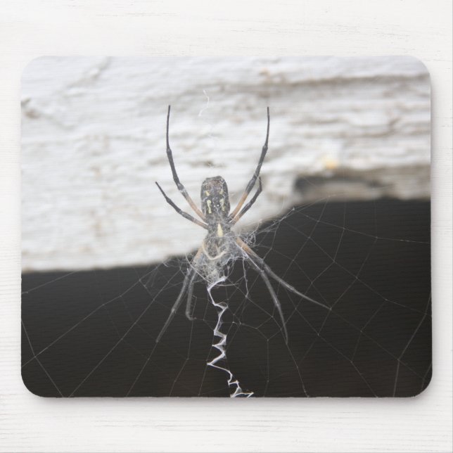 Mousepad Pad do Rato de Aranha (Frente)