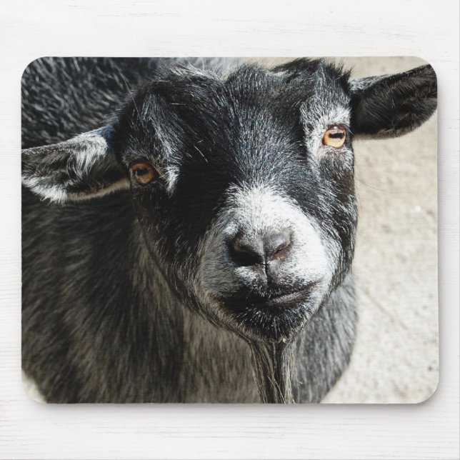 Mousepad Pad do rato de Cabra (Frente)