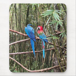 Mousepad Pad do Rato de Fotografia Tropical de Pássaro de P