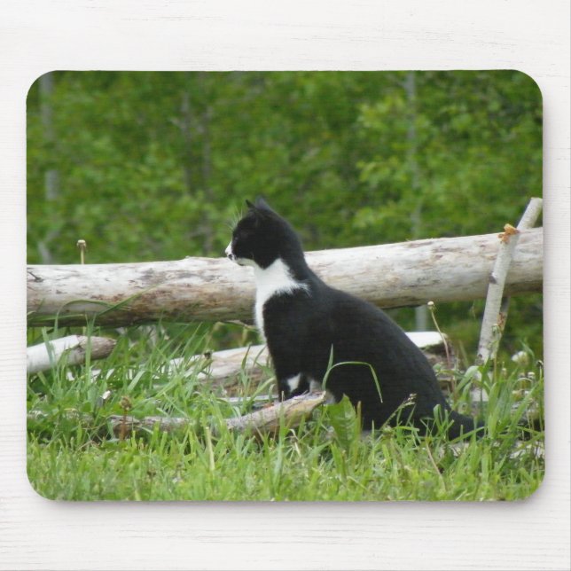 Mousepad Pad do Rato de Gato do País (Frente)