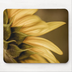 Mousepad Pad do Rato de Girassol