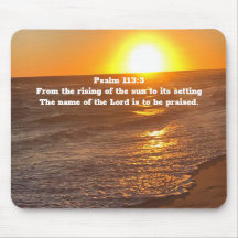 Pad do rato de praia