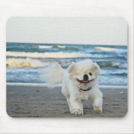 Mousepad Pad do rato de praia do Pete