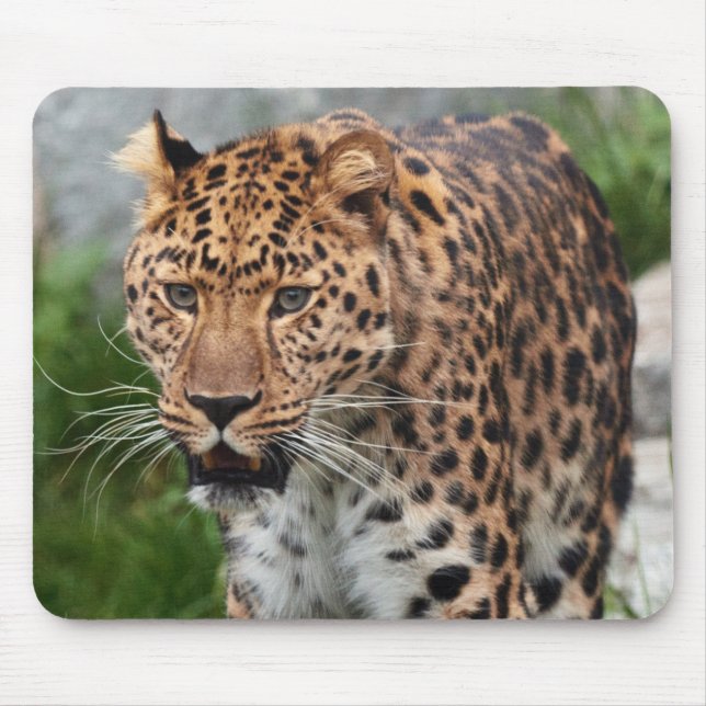 Mousepad Pad do rato leopardo (Frente)