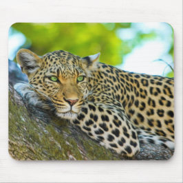 Mousepad Pad do Rato Leopardo da Tanzânia