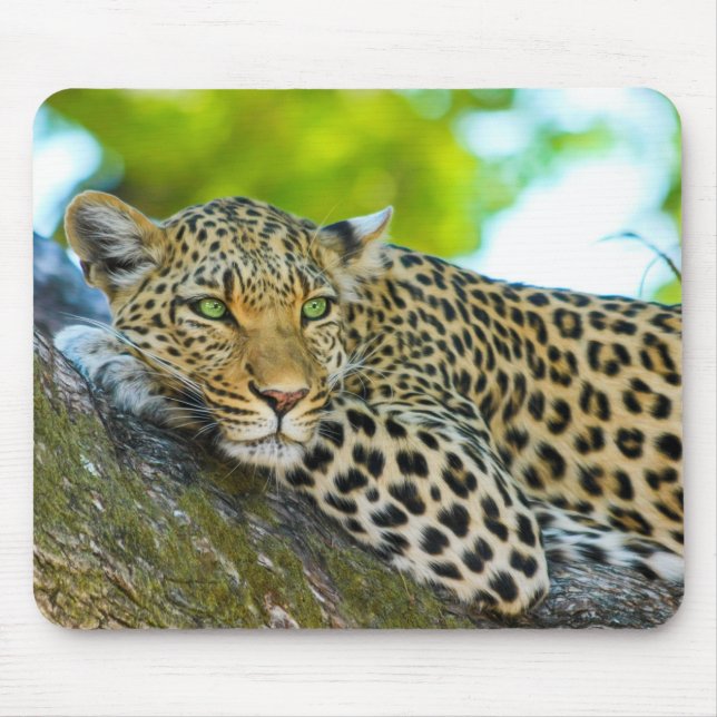 Mousepad Pad do Rato Leopardo da Tanzânia (Frente)