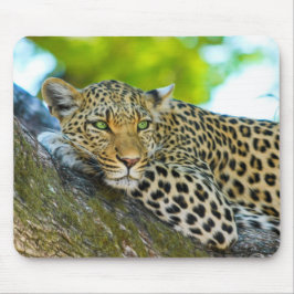 Mousepad Pad do Rato Leopardo da Tanzânia
