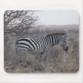 Mousepad Pad do Rato Zebra