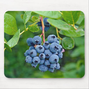 Mousepad Pad Ripe do mouse Blueberry Bush