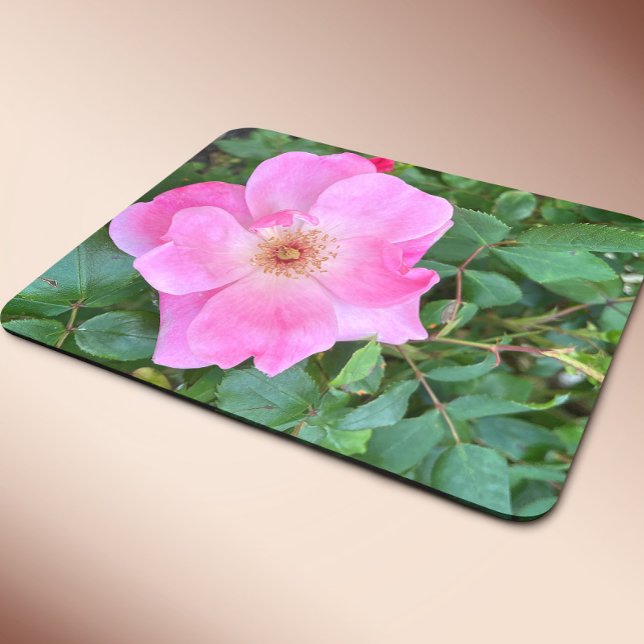 Mousepad Pad Rosa Rosa Rosa Rosa Rosa Rosa Flor com Mouse (Criador carregado)