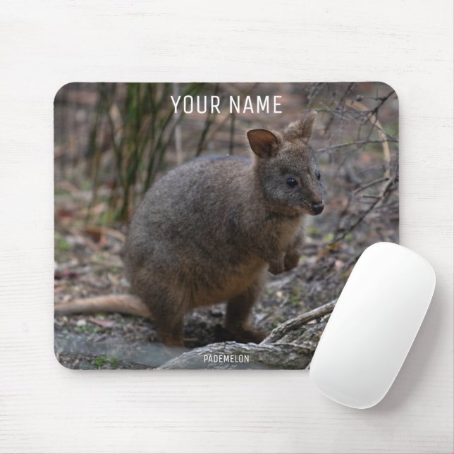 Mousepad Pademelon (Com mouse)