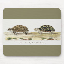 Mousepad Padloper Tortoise