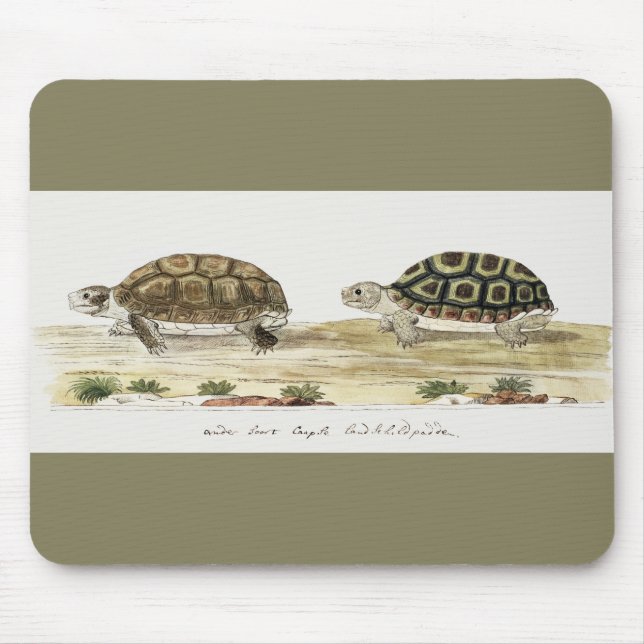 Mousepad Padloper Tortoise (Frente)