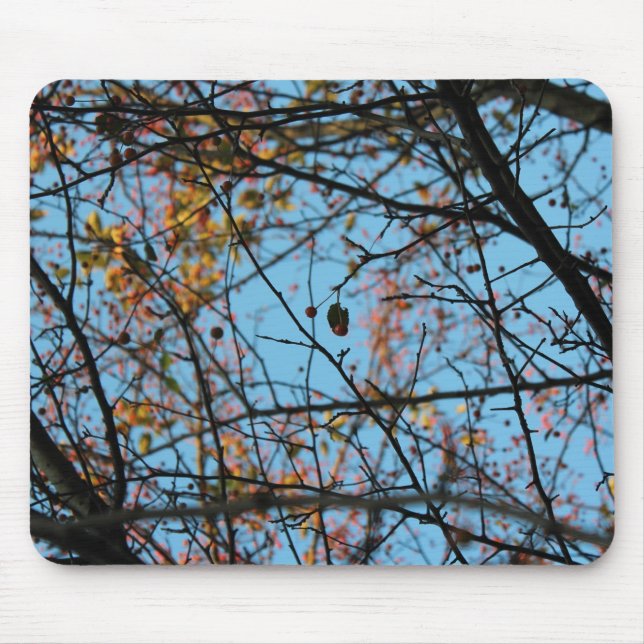 Mousepad Padrão da natureza (Frente)