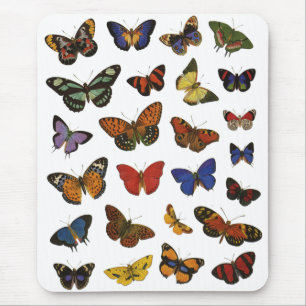 Mousepad Padrão de Borboleta – Botânica Inspirada na Nature