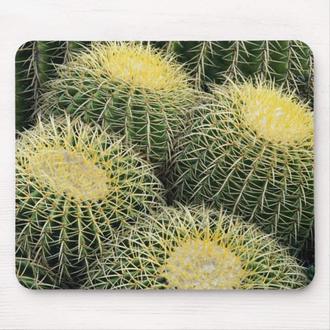 Mousepad Padrão de Cacto (Frente)