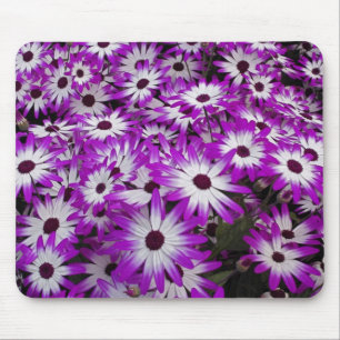 Mousepad Padrão de flores, Jardins Kuekenhof, Lisse,