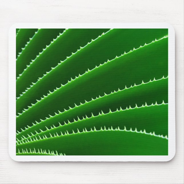 Mousepad Padrão de Folha Verde Spiky (Frente)