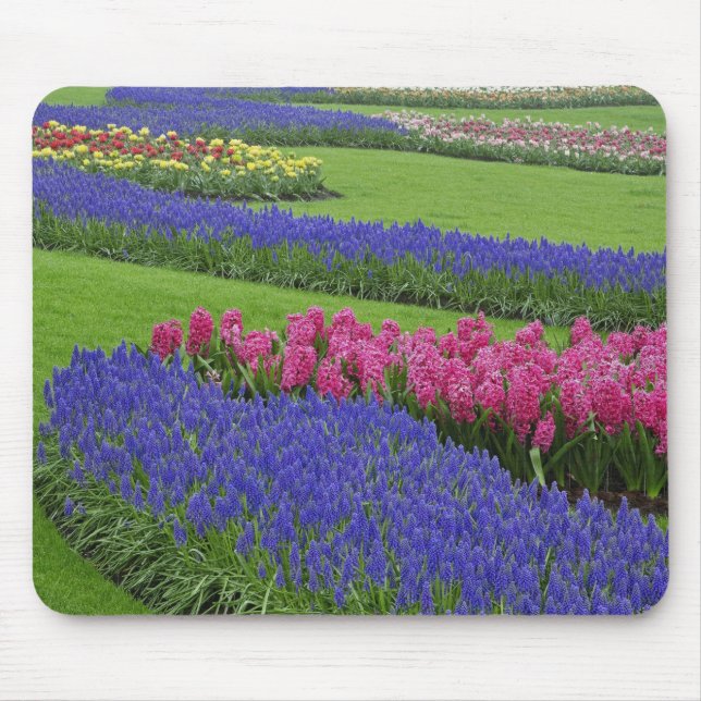Mousepad Padrão de Hyacinth de Uvas, tulipas e (Frente)