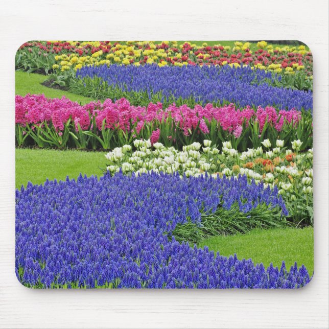 Mousepad Padrão de Jacinto-de-uva, tulipas e 3 (Frente)