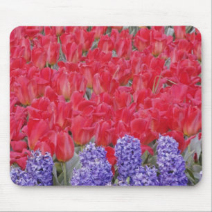 Mousepad Padrão de jacinto, tulipas e narcisos,
