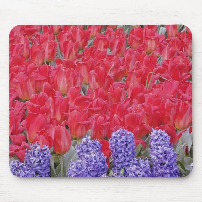 Mousepad Padrão de jacinto, tulipas e narcisos, (Frente)