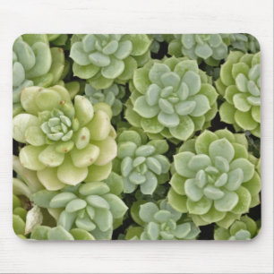 Mousepad padrão de planta de stonecrop