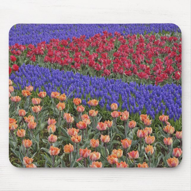 Mousepad Padrão de tulipas e de flores de Hyacinth de Uvas, (Frente)