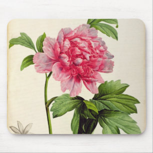 Mousepad Paeonia Moutan, c.1799