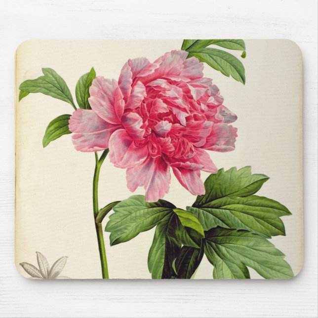 Mousepad Paeonia Moutan, c.1799 (Frente)